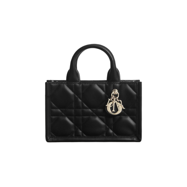 Dior Book Tote 미니 백  3310