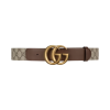 구찌 GG 마몽 더블 G 버클 레더 벨트 베이지 에보니 브라운
